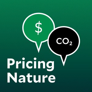 9. Without National Climate Action, How Can US States Put a Price on Carbon?